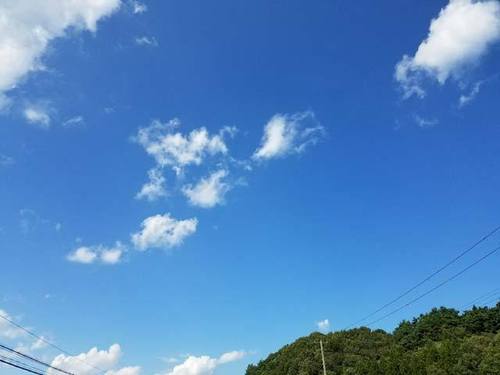 170921台風一過1.jpg