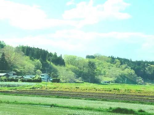 180507山笑う1.jpg