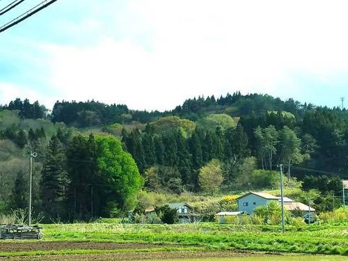 180507山笑う2.jpg