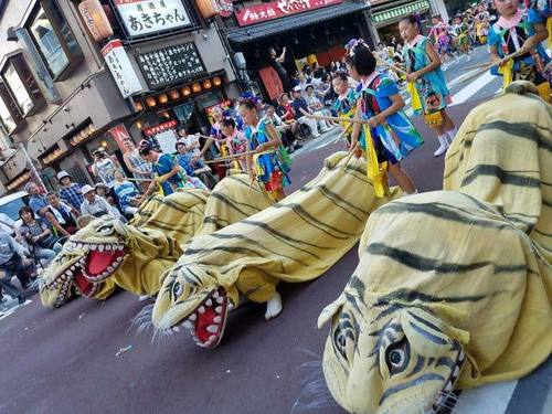 180807三社大祭6.jpg