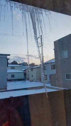 190221つらら2.jpg