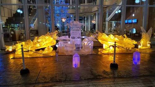 190225氷の花3.jpg
