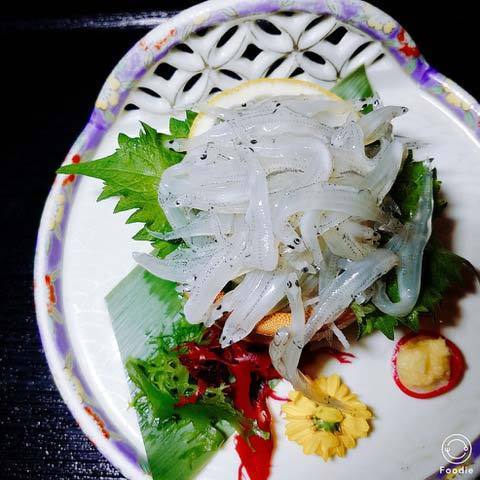 190408白魚2.jpg