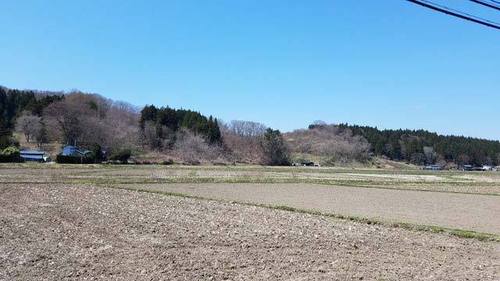 190421里山1.jpg