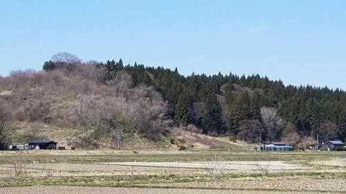 190421里山2.jpg