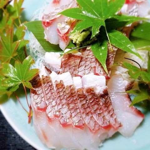 190703真鯛.jpg