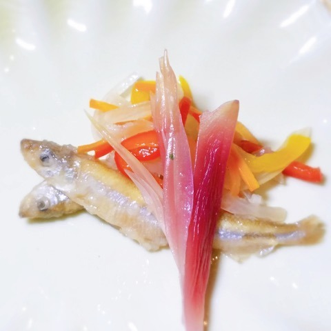 190706ワカサギ1.jpg