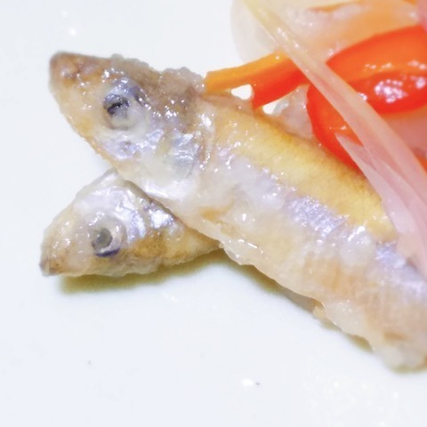 190706ワカサギ2.jpg