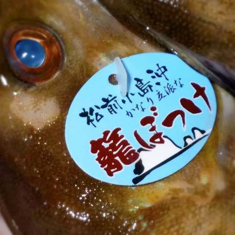 190901根ホッケ1.jpg