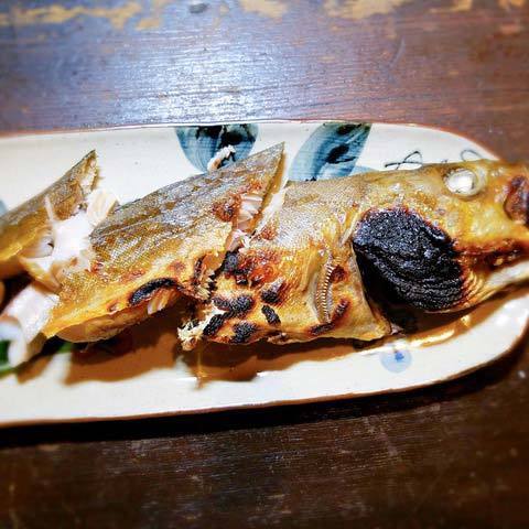 190904根ホッケ2.jpg