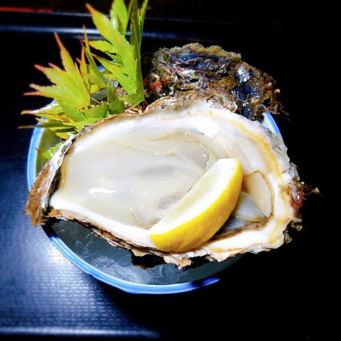 191710岩ガキ.jpg